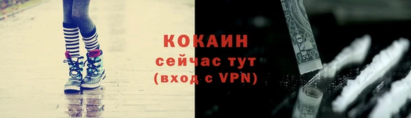 кокс Арсеньев