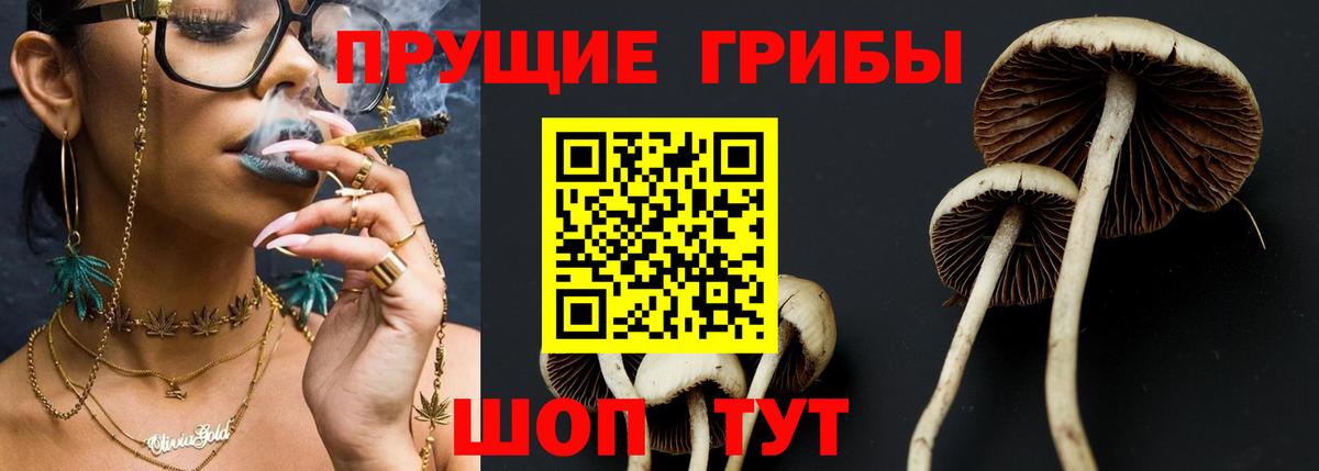 Галлюциногенные грибы GOLDEN TEACHER  Галлюциногенные грибы Psilocybine cubensis  Вход с VPN  Еманжелинск 